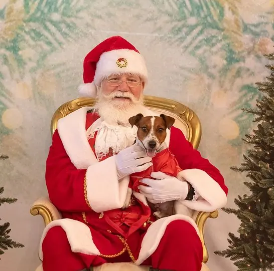 Santa Don smiling in his velvet Santa hat